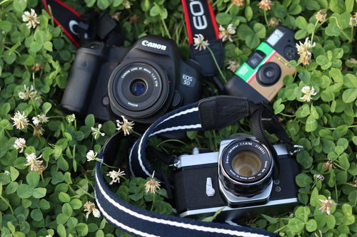 緑の草むらに置かれたデジタル一眼レフとフィルムカメラ