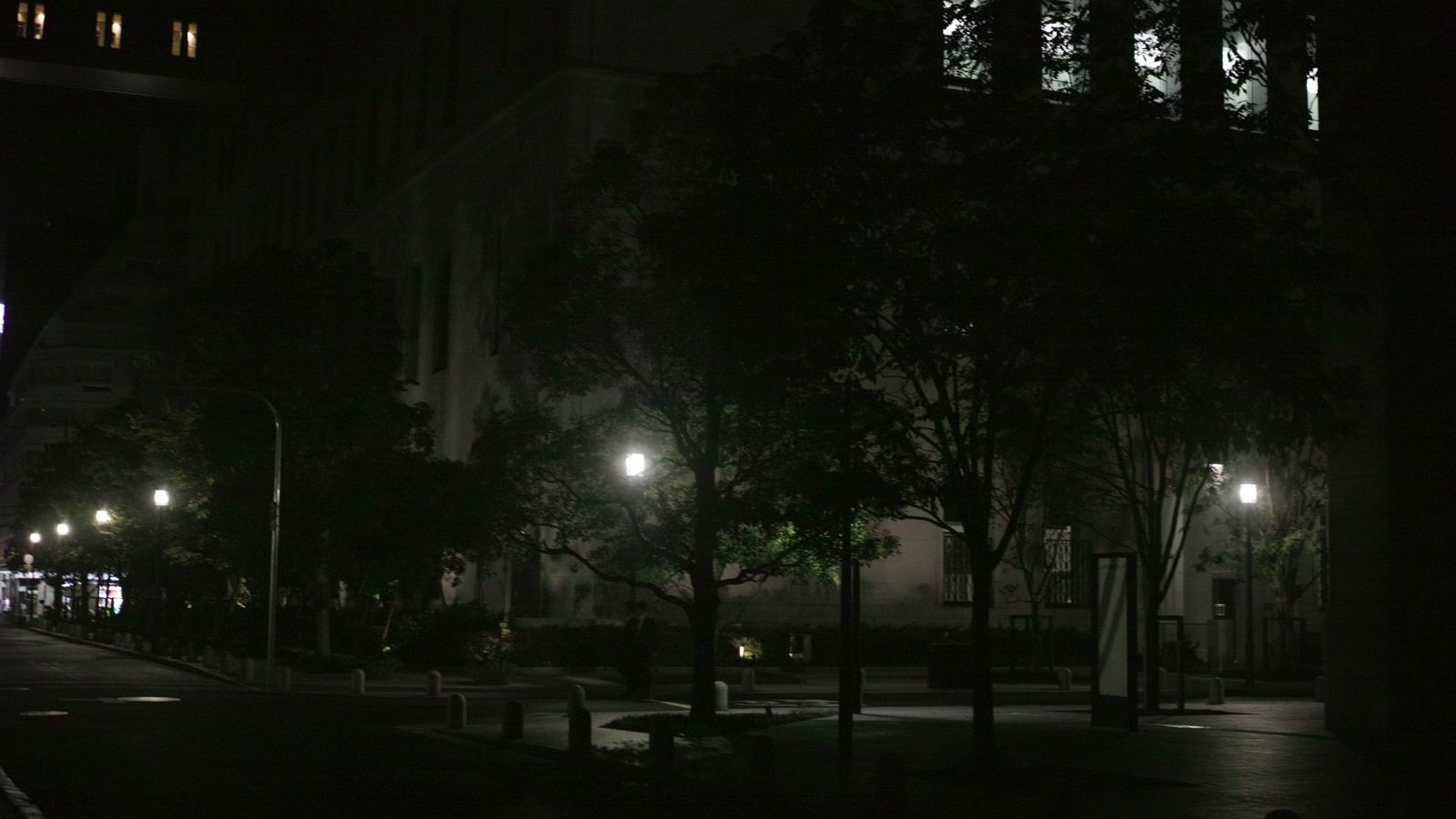 深夜の街灯に照らされた静寂の街並みと樹木