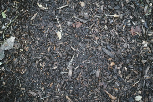 踏み固められたウッドチップの地面テクスチャ