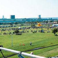 新北大都會公園のイベント会場に群がる人々の写真