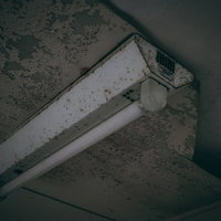 スイートスポットのような錆びがある直管電灯照明の写真