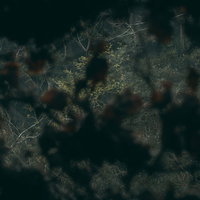 蔦に覆われた暗闇から見える外の景色と森の奥行きの写真