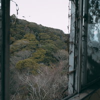 蔦に覆われた廃屋の窓から見える逃げ場の無い景色の写真