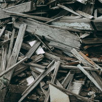 廃材と瓦礫の中にひっそりと咲く花 解体現場の自然の写真