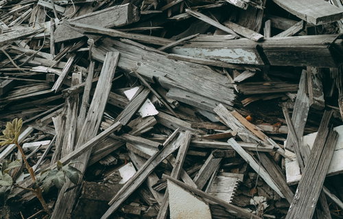 廃材と瓦礫の中にひっそりと咲く花 解体現場の自然