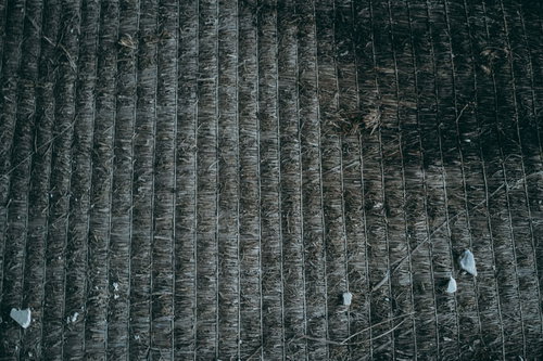 腐った畳のテクスチャー：経年劣化と腐食が進む床材の詳細