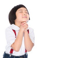 「一生のお願い！」の写真