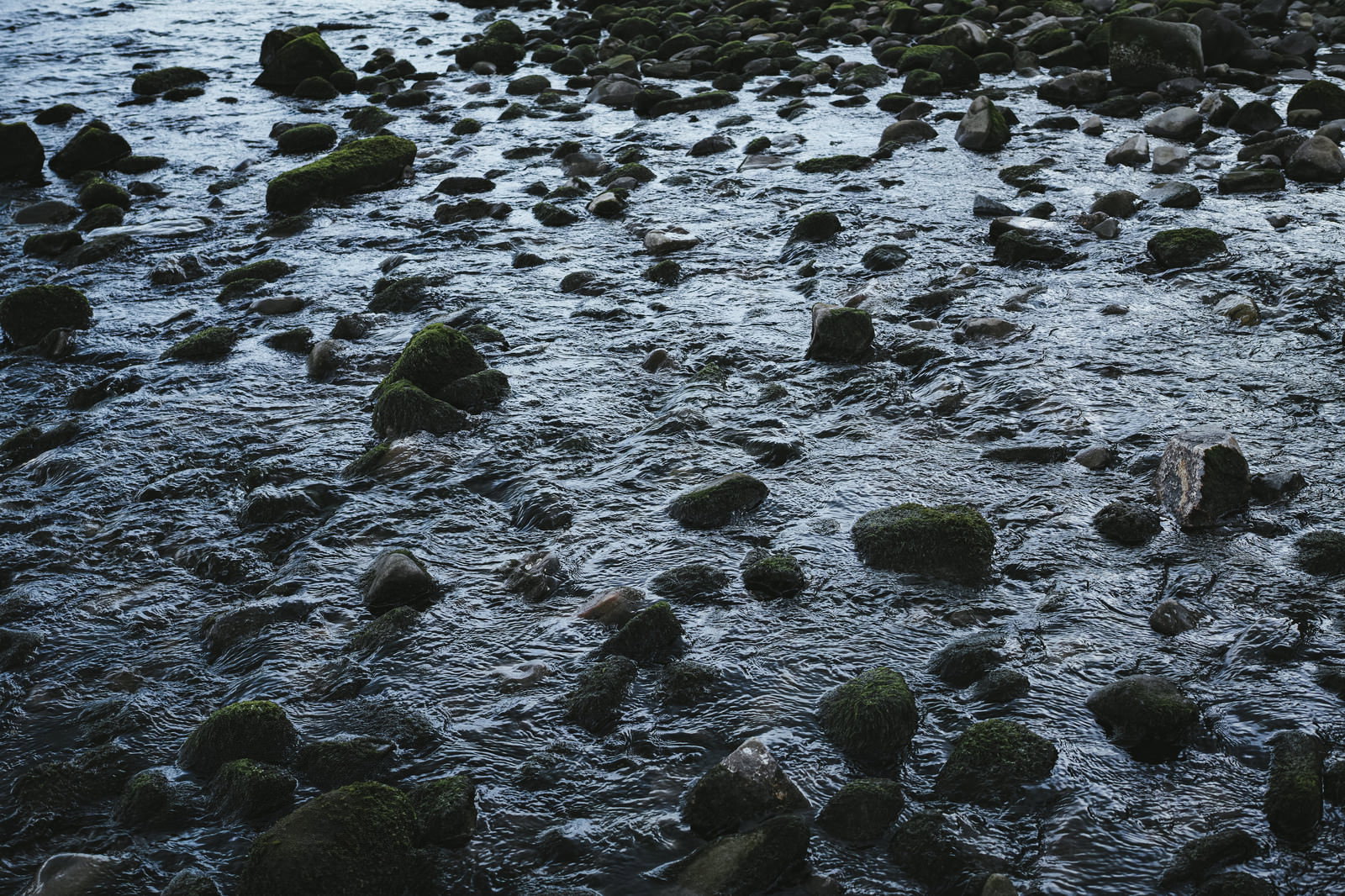 浅瀬に大小の岩が点在している海岸の風景