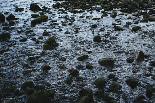 不気味な予感がする浅瀬の岩場 - 海岸の岩と波の風景