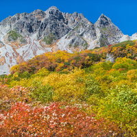 紅葉と黄葉に染まる涸沢カールから見るザイテングラードと穂高連峰の写真