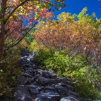 色彩のトンネルを歩いた先にある涸沢カール、秋の登山道の写真