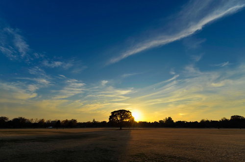 公園の広場にそびえるサンセット夕焼けの風景