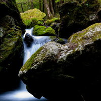 奥多摩の海沢探勝路、三ツ釜ノ滝の渓流と苔むした岩肌の写真