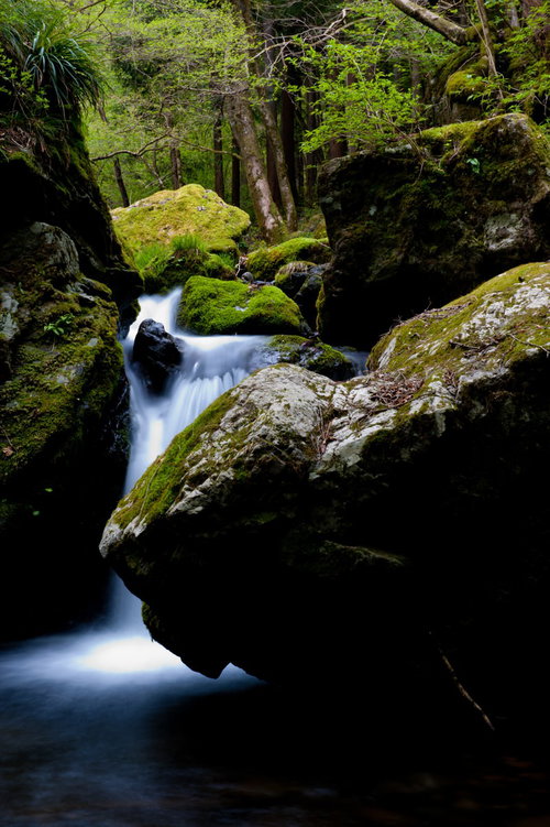 奥多摩の海沢探勝路、三ツ釜ノ滝の渓流と苔むした岩肌