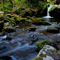 奥多摩の海沢探勝路を流れる清流と滝がある渓谷の写真