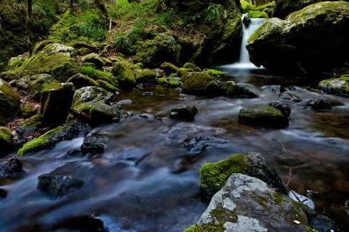 奥多摩の海沢探勝路を流れる清流と滝がある渓谷