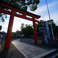 千葉県玉前神社の朱色の鳥居と参道の風景と緑の景観の写真