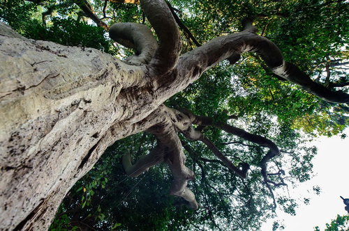 夕暮れ後の海岸とブルーアワーの空