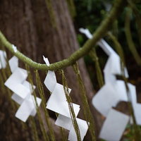 玉前神社の注連縄と紙垂の神聖な境界標示の写真