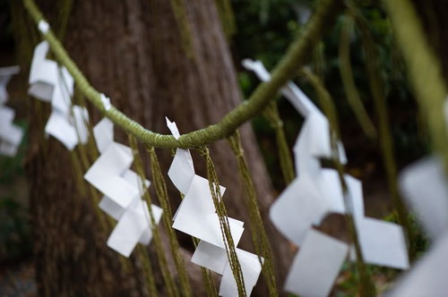 玉前神社の注連縄と紙垂の神聖な境界標示