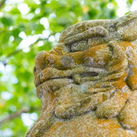 玉前神社にある狛犬の表情（千葉県一宮町）の写真
