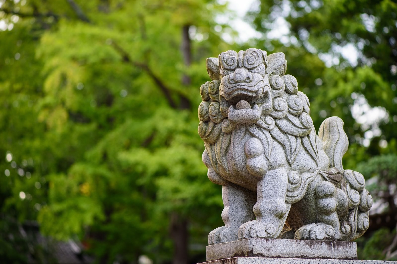 玉前神社の境内に設置された石造りの狛犬