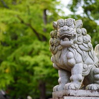玉前神社の境内にある石造りの狛犬（千葉県一宮町）の写真