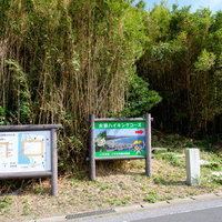 千葉県いすみ市の一ノ宮町の丘へ続くハイキングコース入口の写真