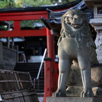 玉前神社を守る獅子（千葉県一宮町）の写真