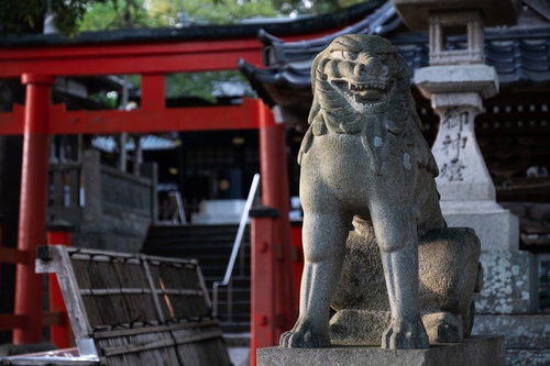 玉前神社を守る獅子（千葉県一宮町）