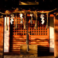 玉前神社境内の十二神社、夜間ライトアップ（千葉県一宮町）の写真