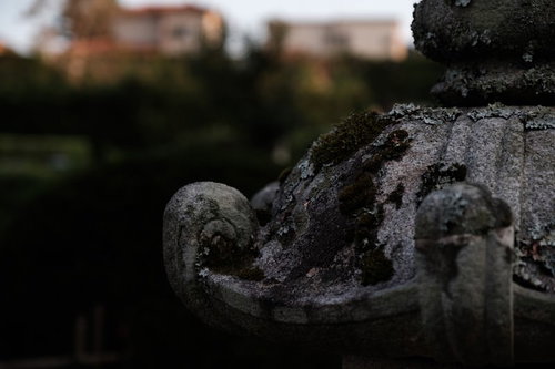 千葉県一宮町の伝統ある玉前神社の苔むした灯篭