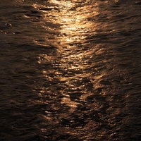 一宮海岸の夕日に照らされた波打ち際と海の表情（千葉県一宮町）の写真