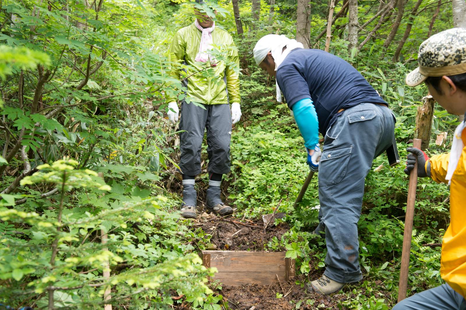 森の中で登山道整備作業をする3人