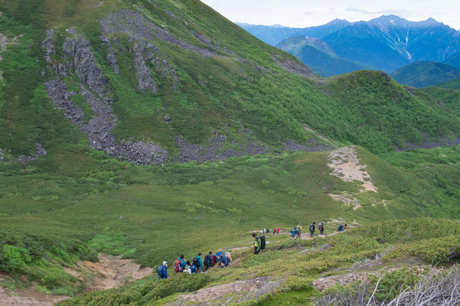 乗鞍新登山道で列をなして整備作業に参加する登山者たち
