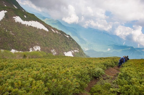 稜線の気持ちいい風に吹かれて歩く地元民、乗鞍新登山道