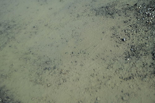 雨上がりの未舗装道路に広がる水溜りのテクスチャー