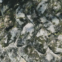 苔がこびりつく石垣の壁面テクスチャーの写真