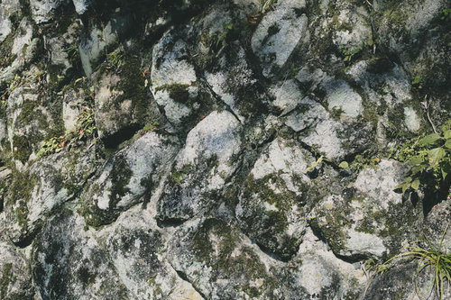 苔がこびりつく石垣の壁面テクスチャー