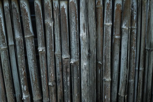 年季を感じる竹垣のテクスチャー