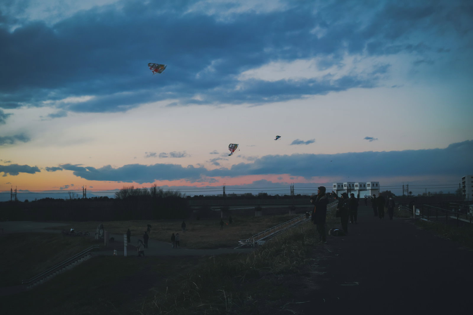 夕暮れの河川敷で凧あげを楽しむ人たちと空に舞う凧
