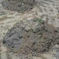砂場の盛り上がった地面の足跡と凹凸の写真