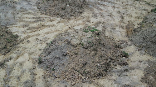 砂場の盛り上がった地面の足跡と凹凸