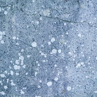 白いカビのような模様が散らばる青い壁のテクスチャーの写真