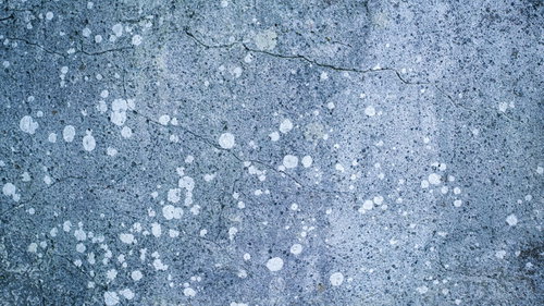 白いカビのような模様が散らばる青い壁のテクスチャー