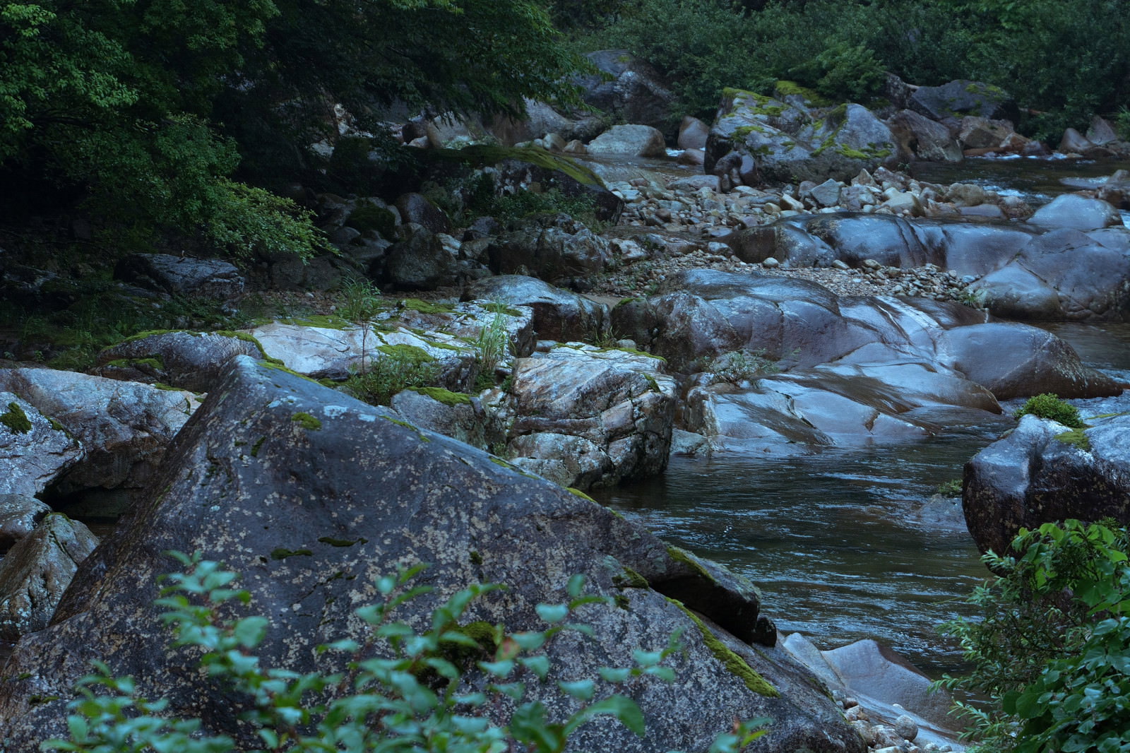 大小の岩が点在する渓流と緑豊かな森林に囲まれた渓谷の風景