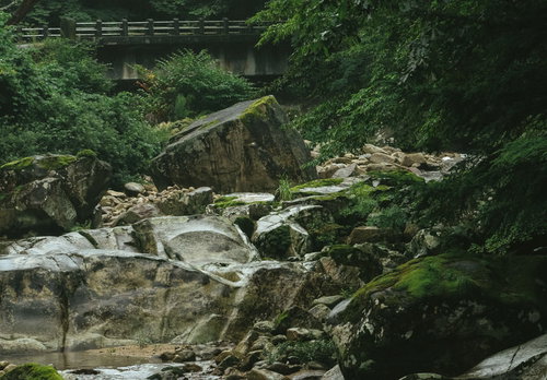 河原より端を仰ぐ