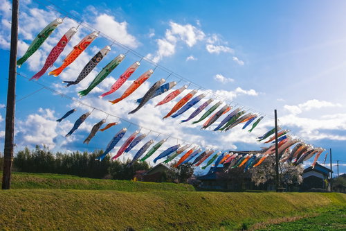 岐阜県恵那市岩村町富田の鯉のぼり