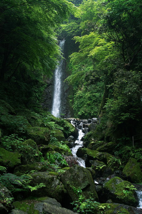 雨上がりの養老の滝