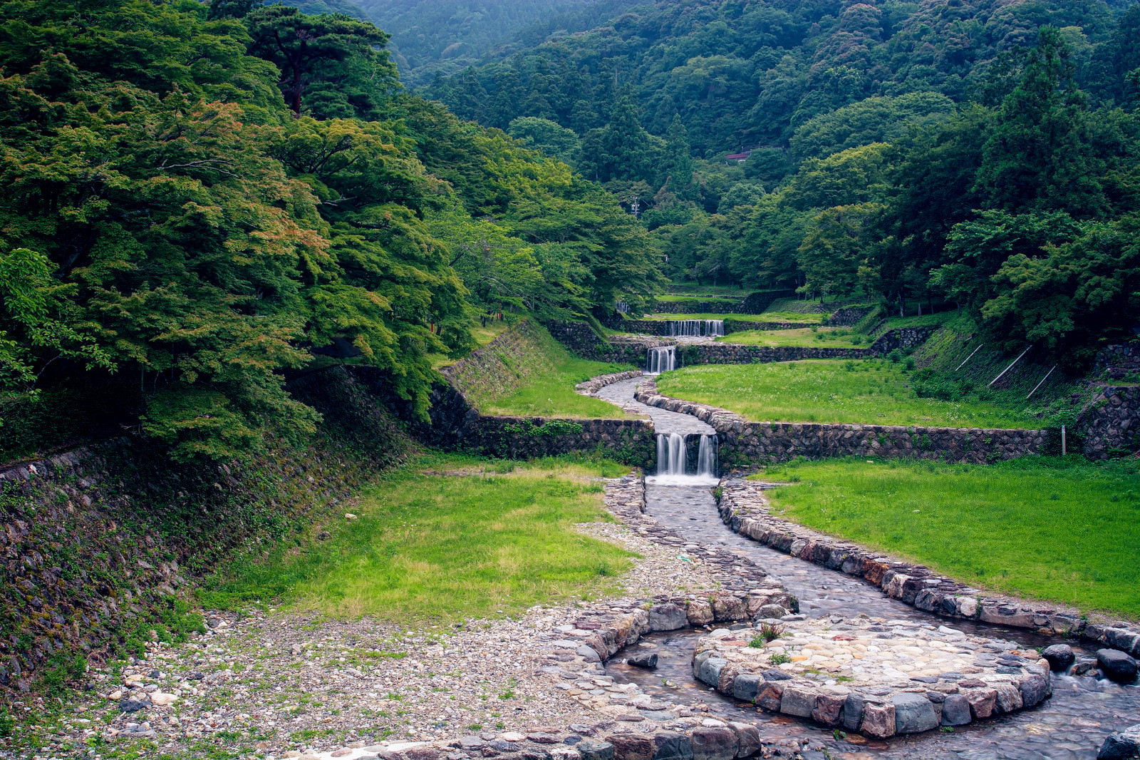 新緑の森に囲まれた石段で整備された川の流れ
